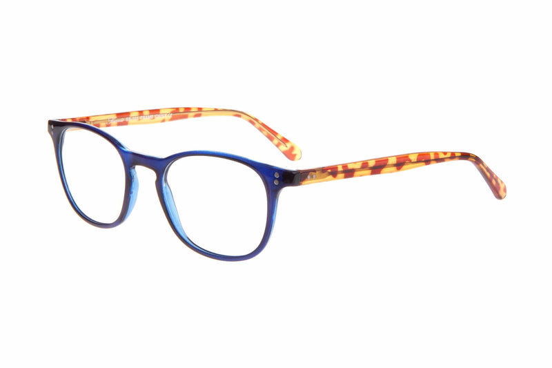 Visual Eyes Glasses BLUE-TORTOISE / Frame Only / Clear Success 101